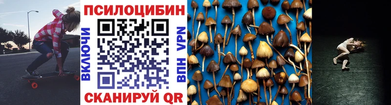 сколько стоит  Пущино  blacksprut ONION  Галлюциногенные грибы MAGIC MUSHROOMS 